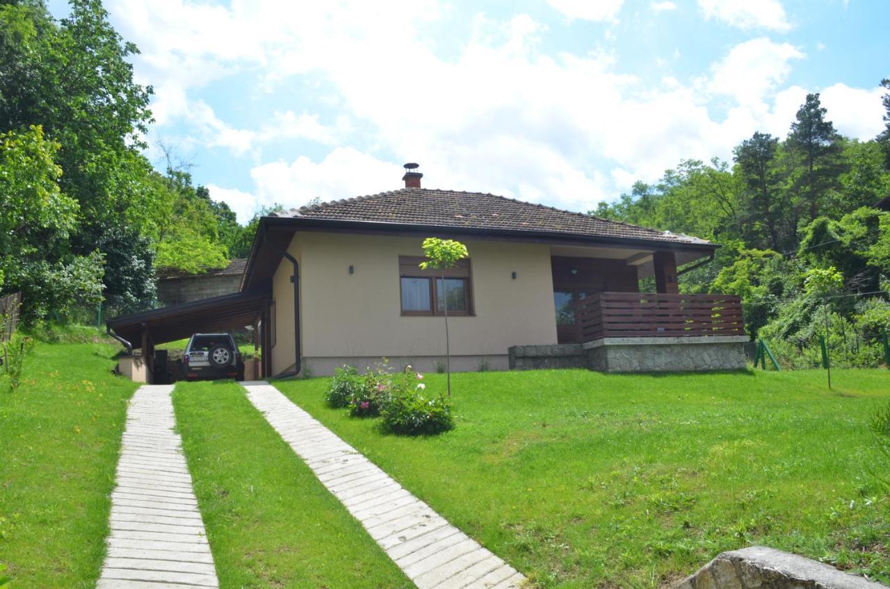 Babakaj Villa Golubac Exterior foto